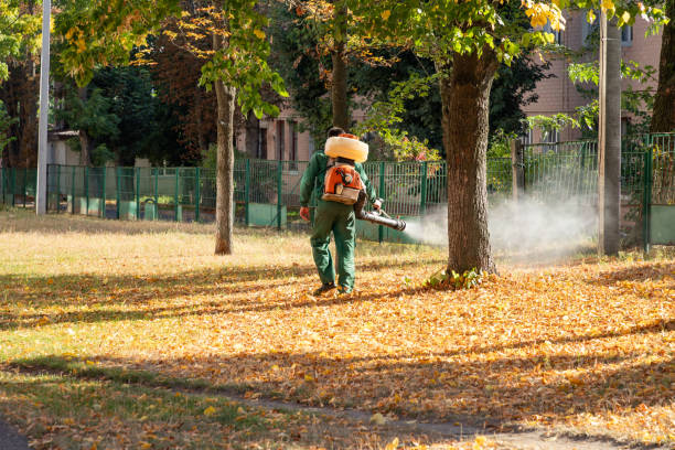 Best Local Pest Control Services  in Ogdensburg, NJ