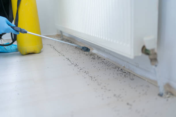 Best Affordable Pest Control Services  in Ogdensburg, NJ
