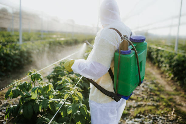 Best Residential Pest Control  in Ogdensburg, NJ